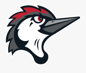 Fayetteville Woodpeckers logo