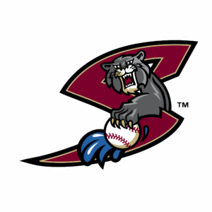 Sacramento Rivercats logo